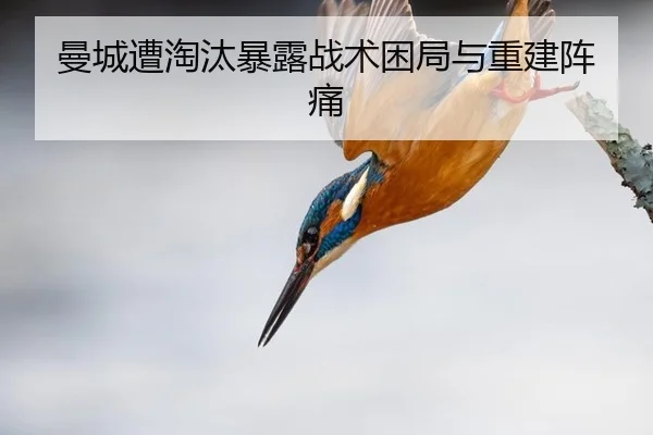曼城遭淘汰暴露战术困局与重建阵痛